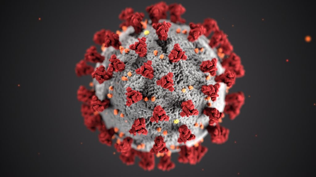 The widely spread Coronavirus